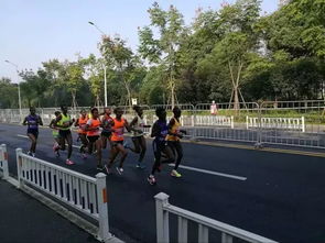 杭马不专业 来杭州跑马拉松,重点根本不在跑步