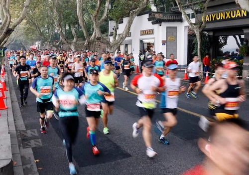 上马报名开启,全马仅9000人,中签几率大大降低