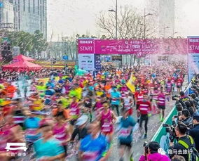 2019上海半马4月21日开跑,或与扬马撞期,盘点那些撞期的马拉松