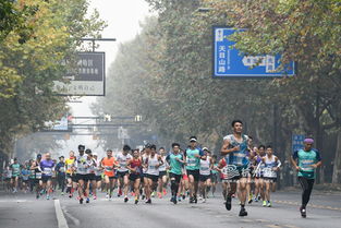 跑过风景跑过你 2019杭州马拉松鸣枪开跑 组图