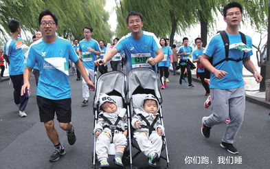 你们跑,我们睡