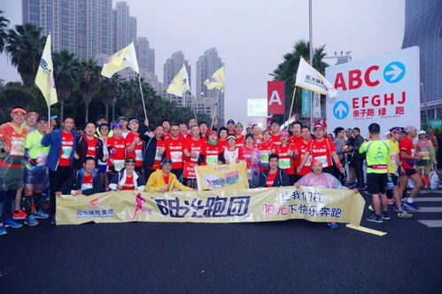 护航厦马,阳光当日完成8笔 直赔