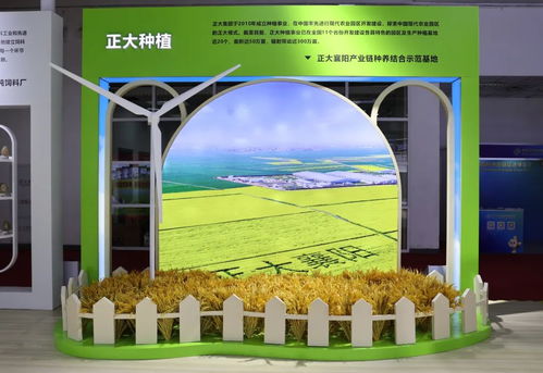 正大集团亮相首届中国国际供应链促进博览会