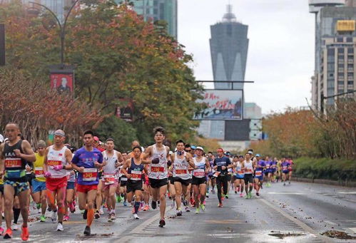 升级为1天半马拉松赛,真爱粉杭州六星跑者为杭马写下2000字长文