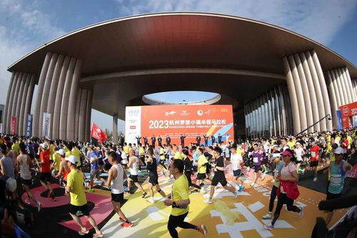 杭州国际马拉松 全城骉动,又燃又浪漫的体育狂欢