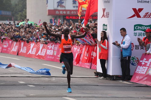 不仅是跑,跑时我在想 | 杭州国际马拉松的哲思之旅