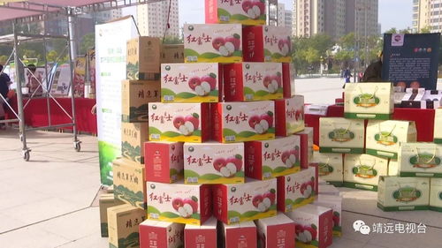 靖远县与杭州国际马拉松 体育盛会与地方特产的完美融合