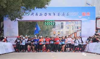 2019努力奔跑,我们都是追梦人——杭州国际马拉松纪实