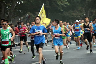 2013杭州国际马拉松开跑 两万余名爱好者共襄盛举，点燃西湖激情